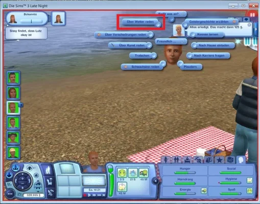 Sims 3 Wetter.webp