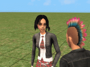 SIMS1.gif