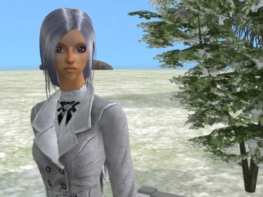 snapshot_d48d514f_54966e17schnee.webp