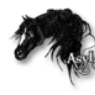 Asylaraber02