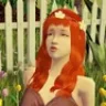 Pixelsims.