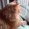 carlchen_65