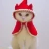 Kukii