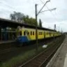 Gast139