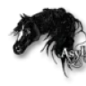 Asylaraber02