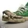 VanS2oo8