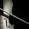 black_violine