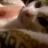 Eowyn