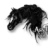 Asylaraber02
