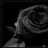 myrose
