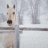 Sanne